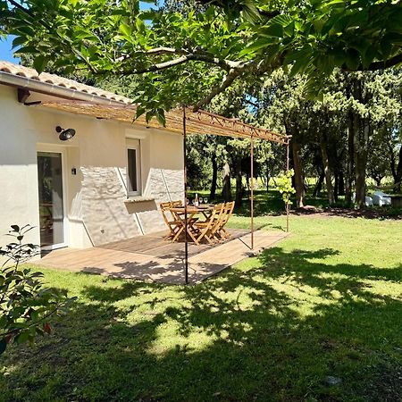 Maisonnette Avec Petite Foret Valréas Extérieur photo