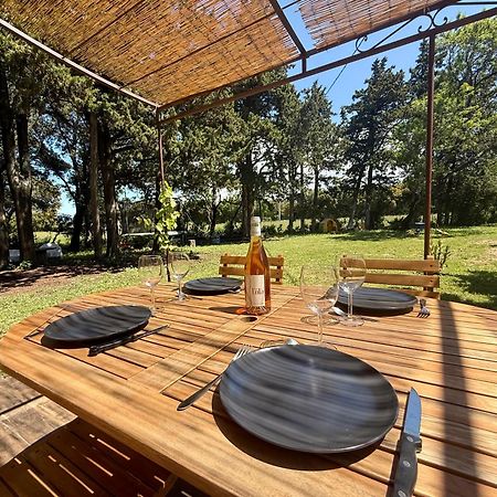 Maisonnette Avec Petite Foret Valréas Extérieur photo