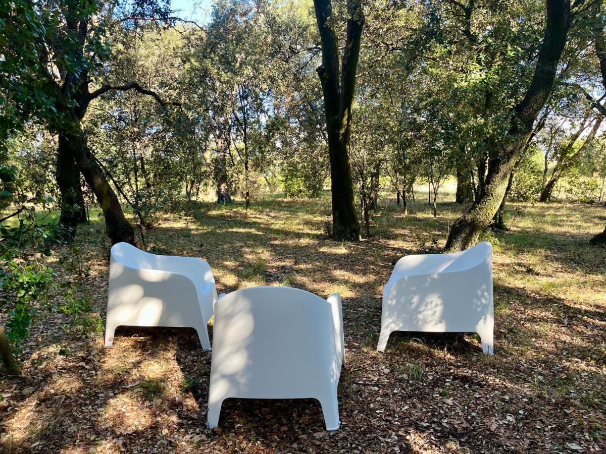 Maisonnette Avec Petite Foret Valréas Extérieur photo